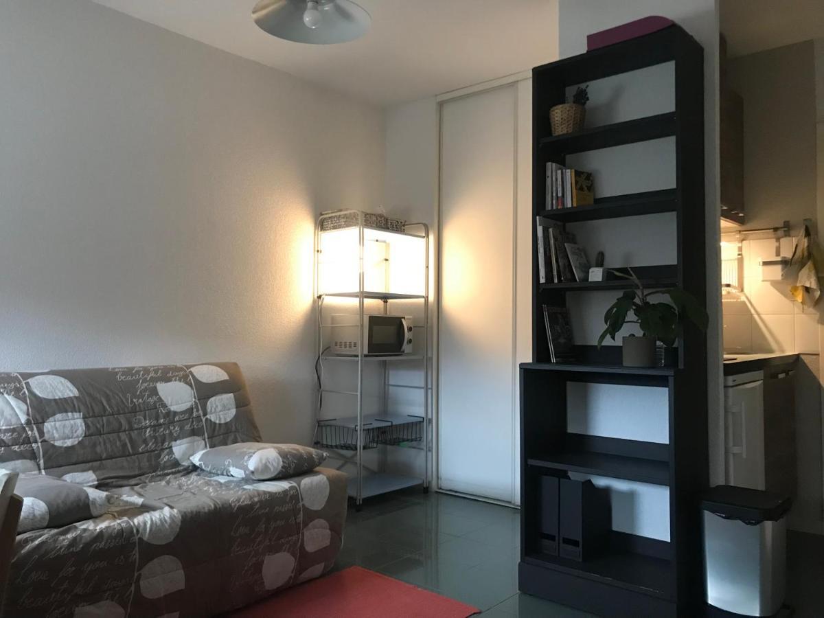 Appartement Dans Toulouse Hyper Centre Eksteriør billede